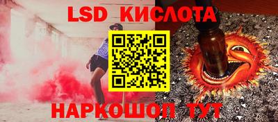 амф Кингисепп