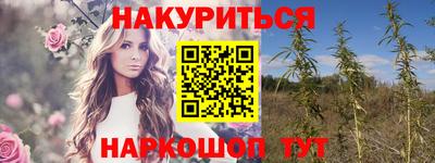 амф Кингисепп