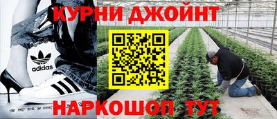 скорость Кинель