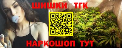 амф Кингисепп