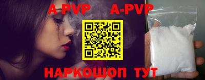 амф Кингисепп