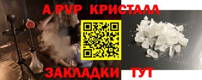 амф Кингисепп