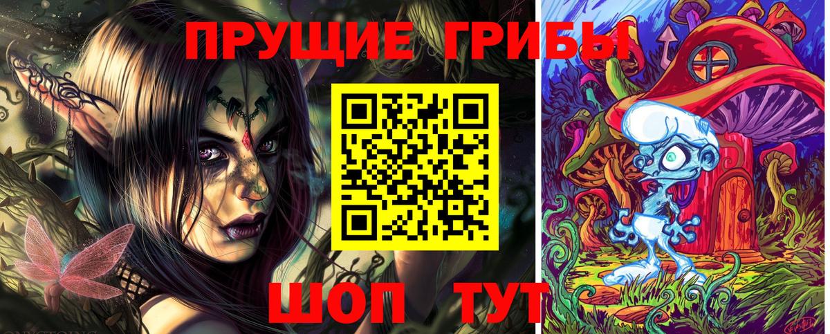 Кингисепп  Галлюциногенные грибы Psilocybine cubensis  Вход с VPN 